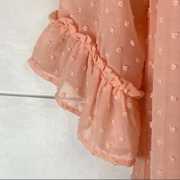 nordstrom blush swiss dot mini dress - Picture 4 of 9